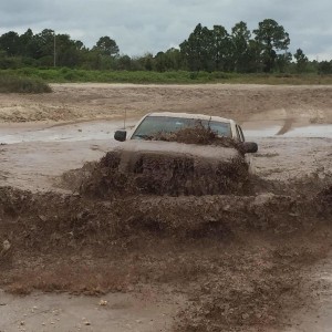 in the mud