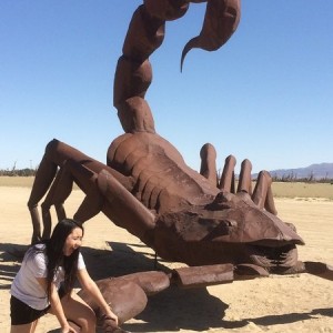 Scorpion