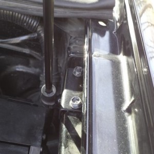 Redline Hood Struts 4