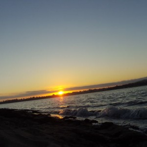 DSC02541