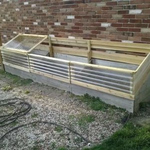 Cold Frames 2