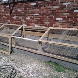 Cold Frames 3