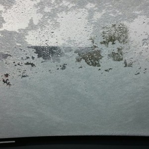 FU mother nature, FU