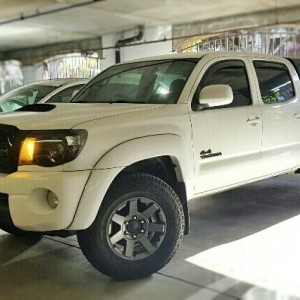 Trail Tacoma-01-01