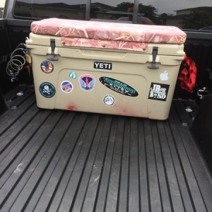 My favorite mod so far!