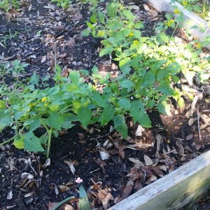 20160422_102955