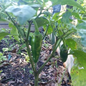 20160422_103028