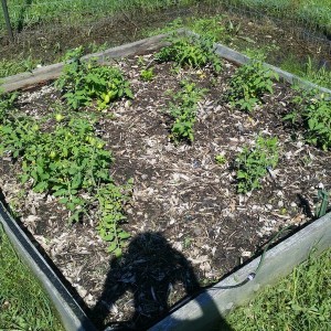 20160422_103147