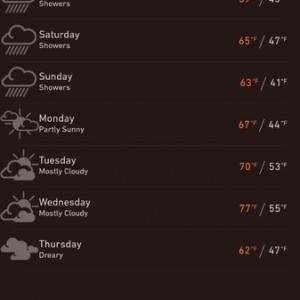 Normally, I like cloudy weather, but the rain and cold temps need to stop.
