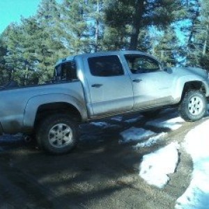 ToyTaco
