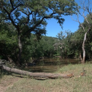 Water