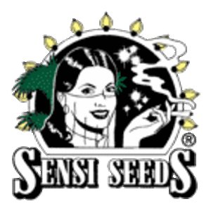 Sensi_seeds