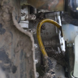 Galfer Gold Stainless Brake Lines