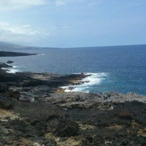 My view for the weekend