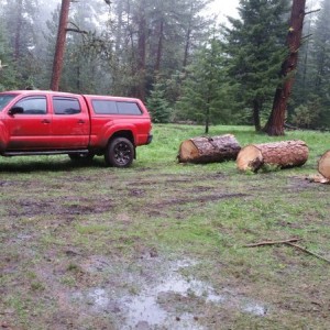 I hauled some wood today up at bear camp