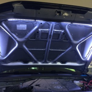 Taco-Dane Hood