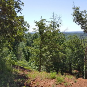 20160513_110454