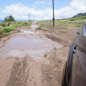 KP Gate Mud HD