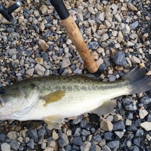 20160517_185124