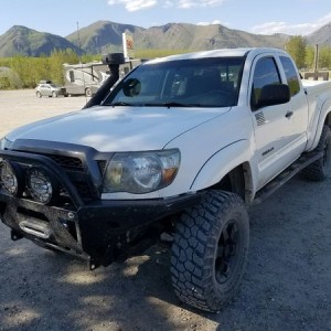 Outside Jasper National Park, Canada. The front coated with bugs