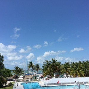 Not a bad view for the summer