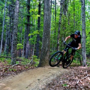 Dupont State Forest