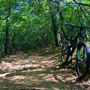 Pisgah