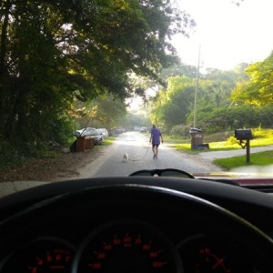 Couldnt take up any more of the road if they tried