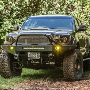 Dana20