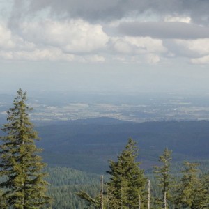 _MG_3140_resize