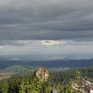 _MG_3231_resize