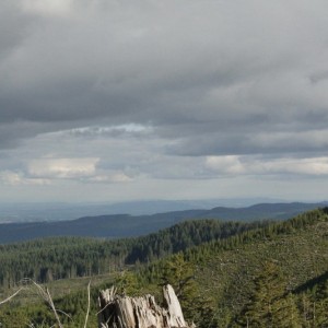 _MG_3232_resize
