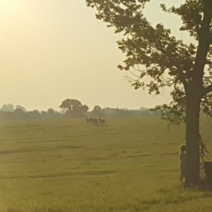 20160611_070013