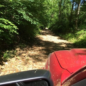 Creek Bed trail