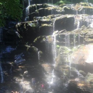 Father's Day hike to Yellow Branch falls with the family. Today was a great day.