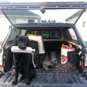 Truck Set Up
