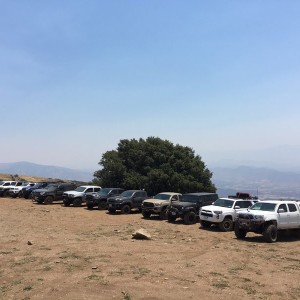 Lineup