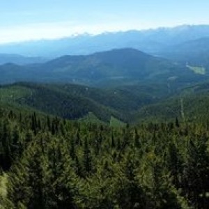 View over Libby