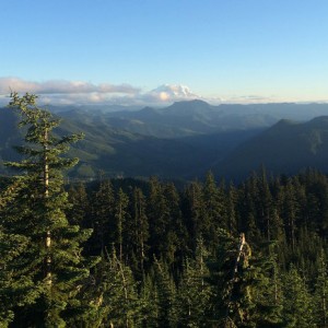 TacoSTIG_Camping_02