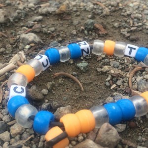 TacoSTIG_Camping_24