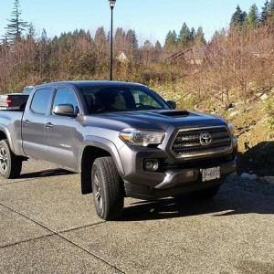 Stock Taco