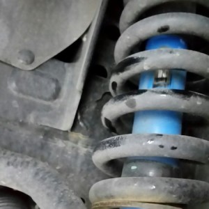 Stock Strut